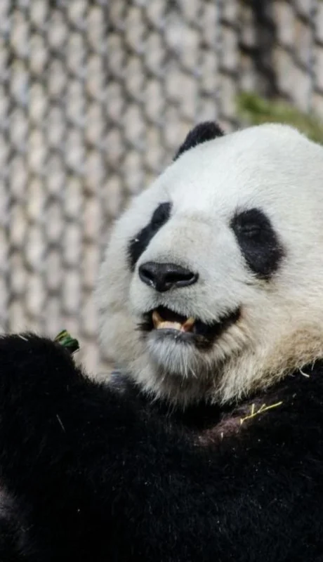 pexels-kayla-s-4444037-jpg.