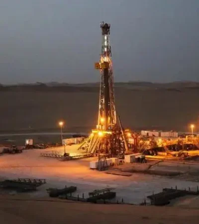 vaca-muerta-ricsa-webp.