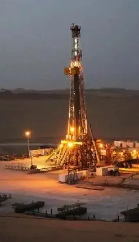 vaca-muerta-ricsa-webp.