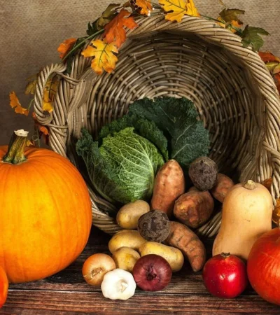 pexels-pixabay-219794-jpg.