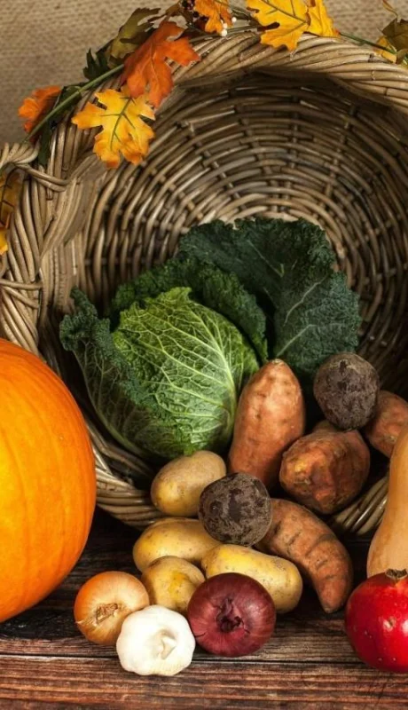 pexels-pixabay-219794-jpg.