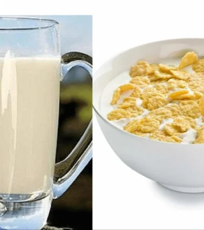 diseno-sin-titulo-jpg.