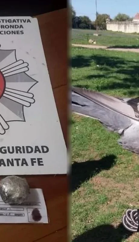 paloma-mensajera-jpg.