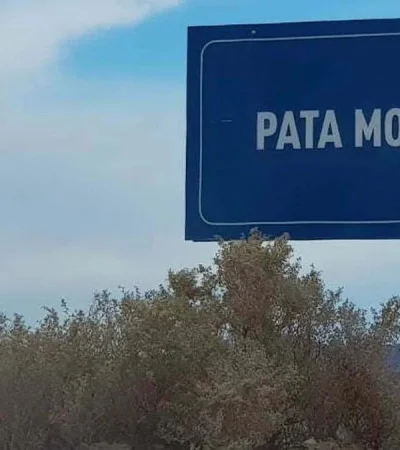 pata-mora-jpg.