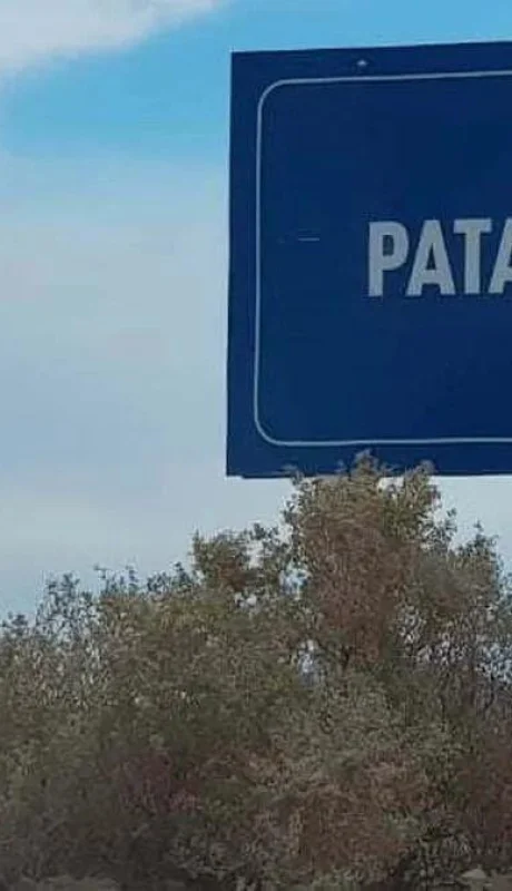 pata-mora-jpg.