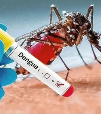 whatsapp-image-2024-04-03-at-18-21-15-jpeg.