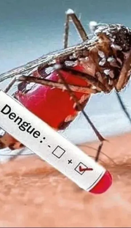 whatsapp-image-2024-04-03-at-18-21-15-jpeg.