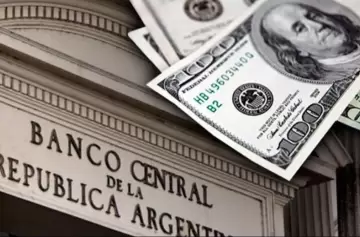 Record de venta de divisas para la era Milei, y fuerte caída de reservas