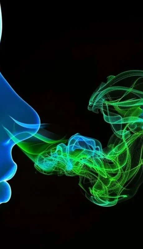 kit-olfato-argentina-invento-png.