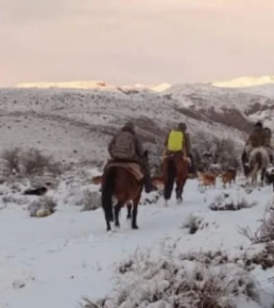 En los próximos días se esperan fuertes nevadas desde Mendoza hasta Catamarca.