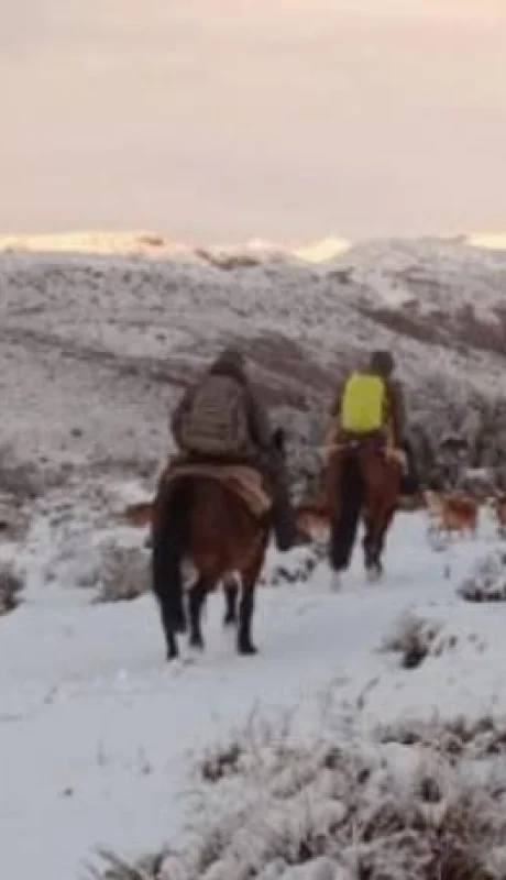 gendarmeria-nevada-nieve-png.