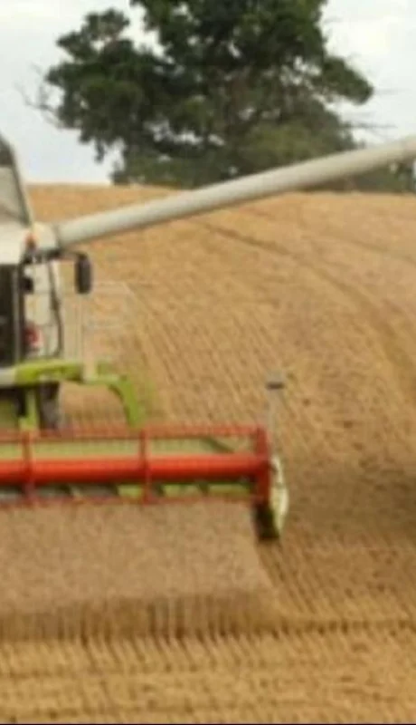 20190720122507-cosecha-fina-jpg.