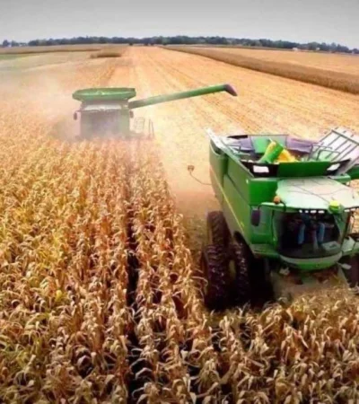 La Justicia respaldó a ARBA y rechazó el pedido de una empresa agropecuaria