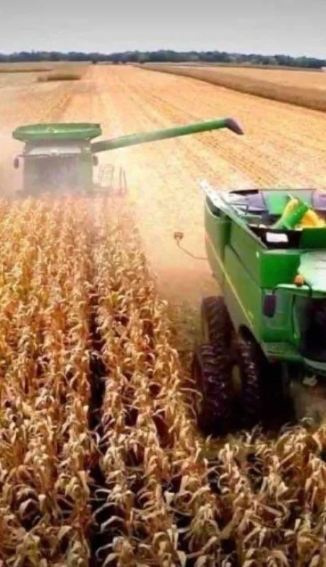 La Justicia respaldó a ARBA y rechazó el pedido de una empresa agropecuaria