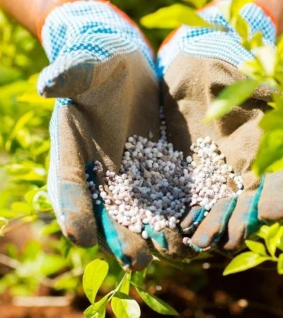 fertilizantes-jpg.