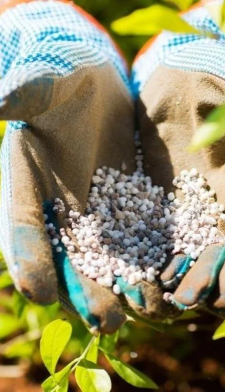 fertilizantes-jpg.