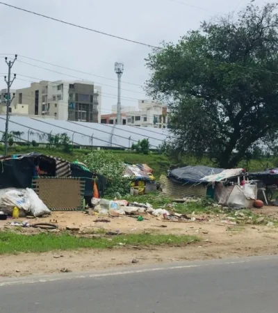 pexels-chris-john-2783232-jpg.