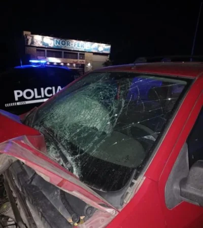 whatsapp-image-2024-05-04-at-09-14-12-2-jpeg.