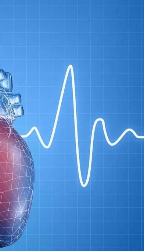 corazon-cardiologia-cuerpo-png.