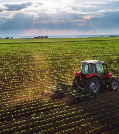 f-elconfidencial-com-original-dc9-277-ac6-dc9277ac614782dac6b8b32eca7417d0-jpg.