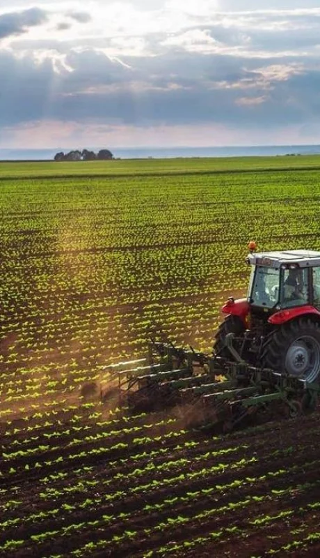 f-elconfidencial-com-original-dc9-277-ac6-dc9277ac614782dac6b8b32eca7417d0-jpg.