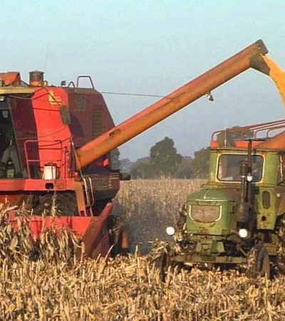 cosecha-de-maiz