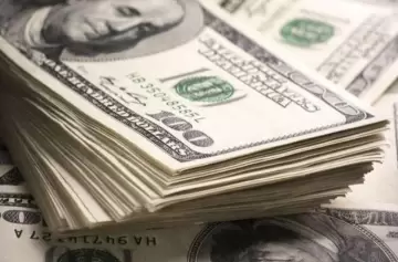 El "carry trade" promovió las ganancias en dólares más altas en 32 años