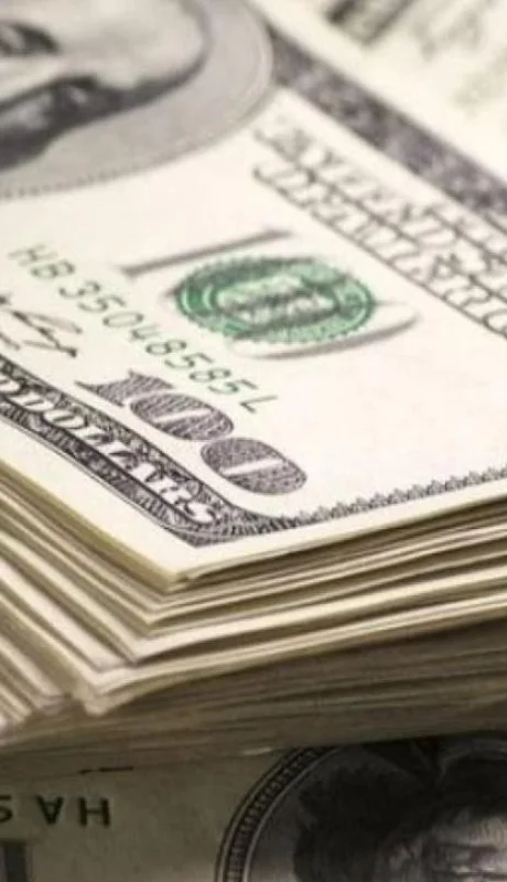 El "carry trade" promovió las ganancias en dólares más altas en 32 años