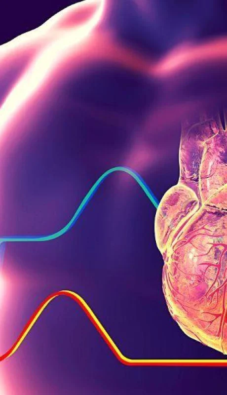 fibrilacion-auricular-corazon-cuerpo-salud-png.