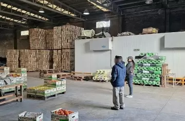 Rescataron a 28 víctimas de explotación laboral