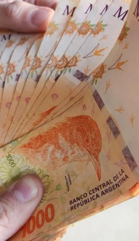 El calendario de ANSES para las PNC empezaría el martes 9 de diciembre.