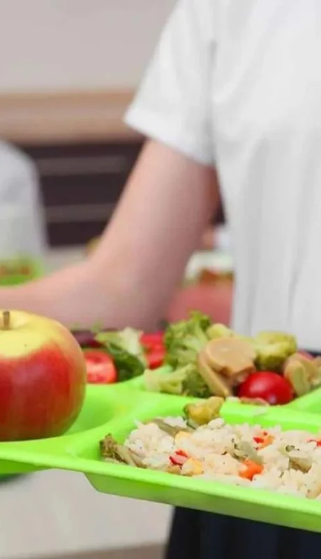 comida-saludable-png.