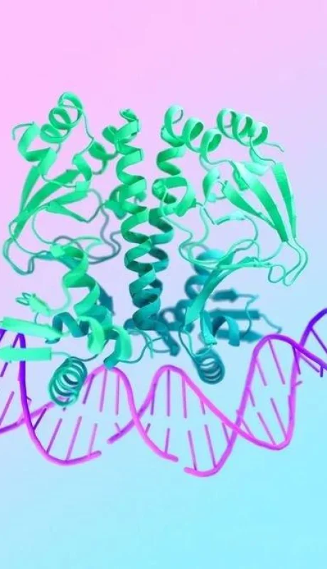 af-hero-2-width-1200-format-webp-jpg.