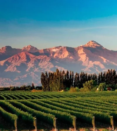 mendoza-jpg.