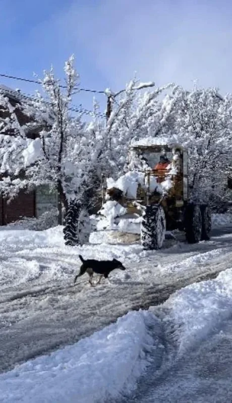 nieve-en-la-montana-jpg.