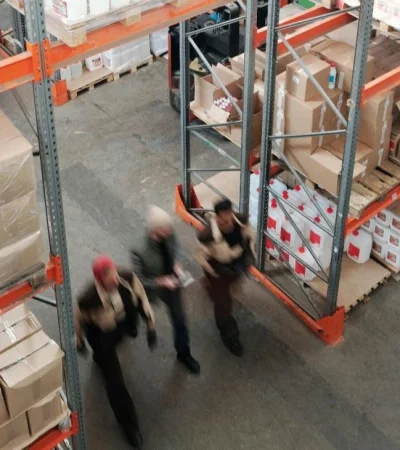 pexels-tiger-lily-4481323-1-jpg.