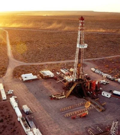vaca-muerta-jpg.