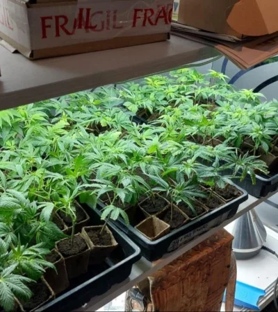 e7f5aefb-98f7-40ab-bdde-3f4da5307f43-jpg.