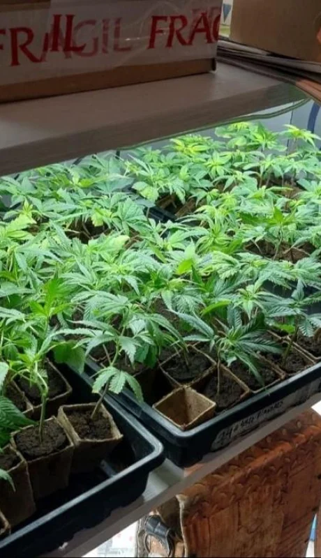 e7f5aefb-98f7-40ab-bdde-3f4da5307f43-jpg.