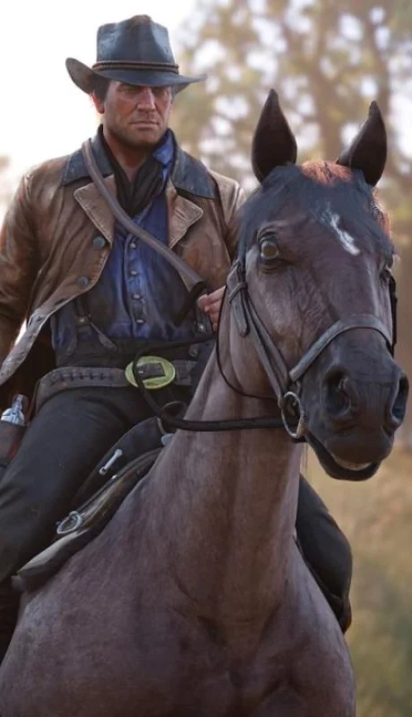 red-dead-redemption-2-jpg.