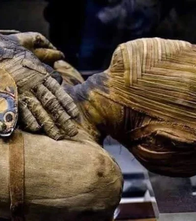 443845071-438384232221593-4499630173857414342-n-jpg.