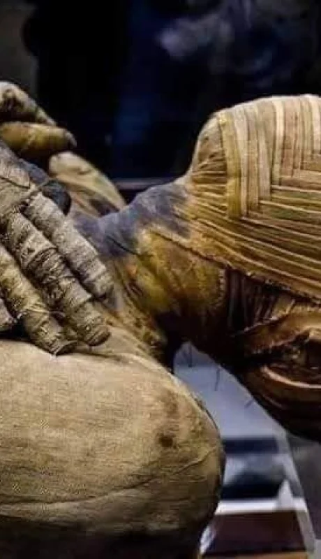 443845071-438384232221593-4499630173857414342-n-jpg.