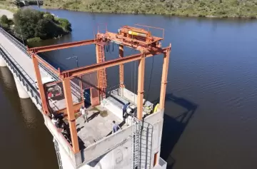 Mendoza y San Luis liberarán aves rescatadas en Desaguadero
