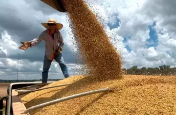 Productores porcinos "les pagan a sus empleados mil dólares y no les alcanza"