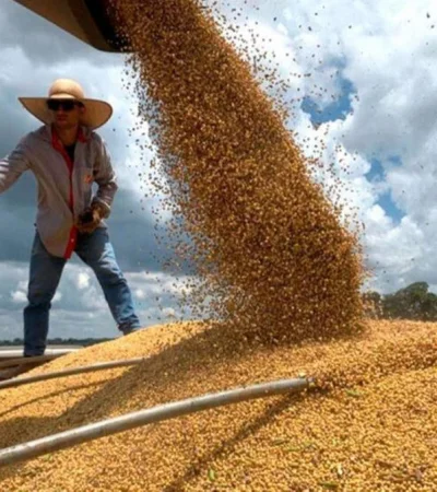 Producción de soja.