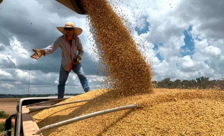 produccion-soja-jpg.