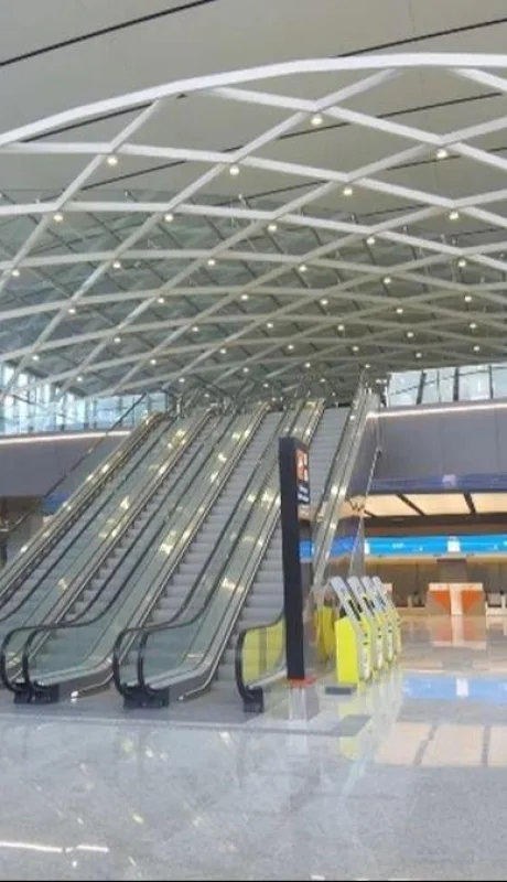 79091043-2jpg-1-jpg.