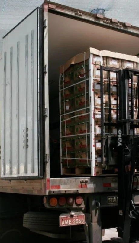 programa-pymexporta-2-jpg.