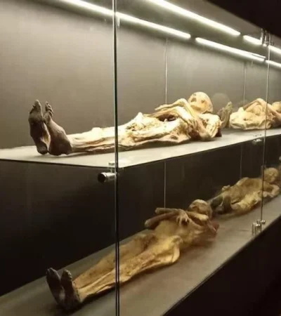 las-momias-se-encuentran-exhibidas-hace-anos-en-lqxu46vorfax7eulqjdq2yc3hq-1-jpg.