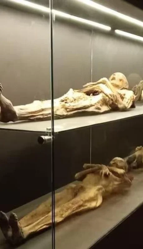 las-momias-se-encuentran-exhibidas-hace-anos-en-lqxu46vorfax7eulqjdq2yc3hq-1-jpg.